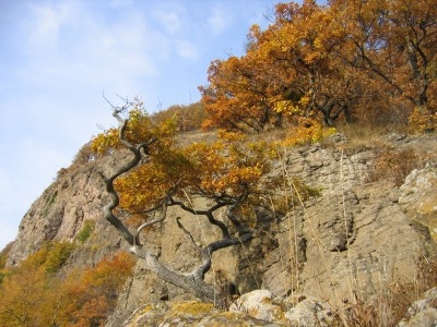 Felső-Csóka-kő