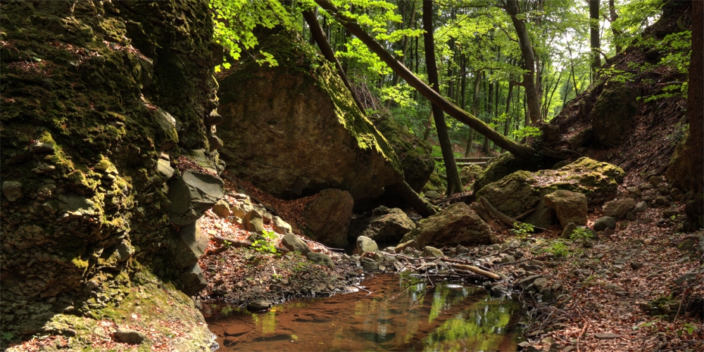 Forest walks | Discover the magical forests of the Mátra mountains