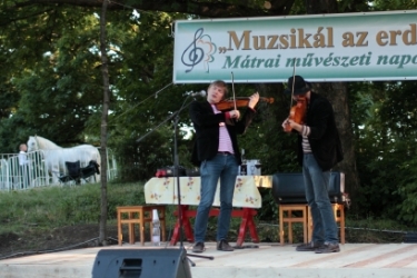 Muzsikál az Erdő 2014