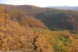 Bárány-kő
