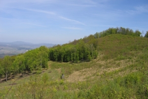 Foton rét