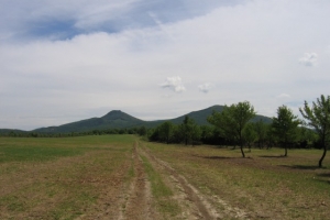 Gombás-tető